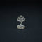 Pure Silver Snake 10 grams